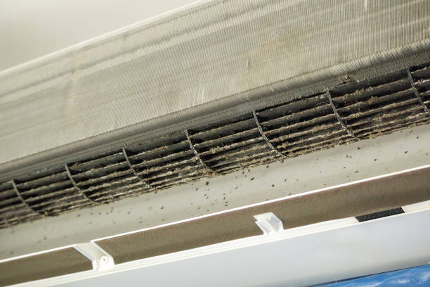 Best Local Air Duct Cleaning Services  in Oakwood, GA